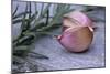 Garlic And Rosemary-Maxine Adcock-Mounted Photographic Print