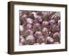 Garlic at Pike Place Market, Seattle, Washington, USA-Jamie & Judy Wild-Framed Photographic Print