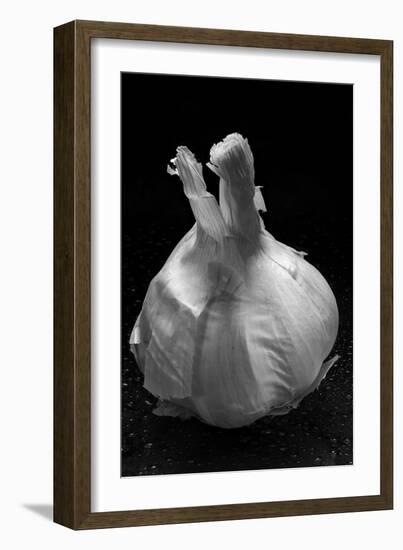 Garlic Bulb BW-Steve Gadomski-Framed Photographic Print