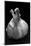 Garlic Bulb BW-Steve Gadomski-Mounted Photographic Print