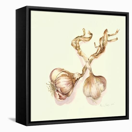 Garlic Bulbs, 2005-Alison Cooper-Framed Stretched Canvas