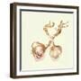 Garlic Bulbs, 2005-Alison Cooper-Framed Giclee Print