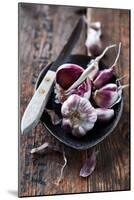 Garlic Bulbs and Cloves in a Ceramic Dish-barbaradudzinska-Mounted Photographic Print