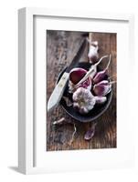 Garlic Bulbs and Cloves in a Ceramic Dish-barbaradudzinska-Framed Photographic Print