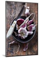 Garlic Bulbs and Cloves in a Ceramic Dish-barbaradudzinska-Mounted Photographic Print