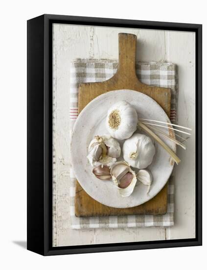 Garlic Bulbs and Cloves on a Plate-Stuart West-Framed Stretched Canvas