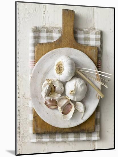 Garlic Bulbs and Cloves on a Plate-Stuart West-Mounted Photographic Print