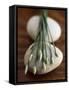 Garlic Chives-Jean Cazals-Framed Stretched Canvas