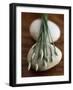 Garlic Chives-Jean Cazals-Framed Premium Photographic Print