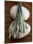 Garlic Chives-Jean Cazals-Mounted Photographic Print