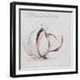 Garlic Cloves-Jennifer Abbott-Framed Giclee Print