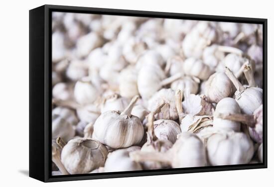 Garlic for Sale at Hsipaw (Thibaw) Market, Shan State, Myanmar (Burma), Asia-Matthew Williams-Ellis-Framed Stretched Canvas