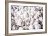 Garlic for Sale at Hsipaw (Thibaw) Market, Shan State, Myanmar (Burma), Asia-Matthew Williams-Ellis-Framed Photographic Print