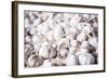 Garlic for Sale at Hsipaw (Thibaw) Market, Shan State, Myanmar (Burma), Asia-Matthew Williams-Ellis-Framed Photographic Print
