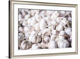 Garlic for Sale at Hsipaw (Thibaw) Market, Shan State, Myanmar (Burma), Asia-Matthew Williams-Ellis-Framed Photographic Print