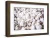 Garlic for Sale at Hsipaw (Thibaw) Market, Shan State, Myanmar (Burma), Asia-Matthew Williams-Ellis-Framed Photographic Print