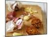 Garlic, Fresh and Roasted-Debi Treloar-Mounted Premium Photographic Print