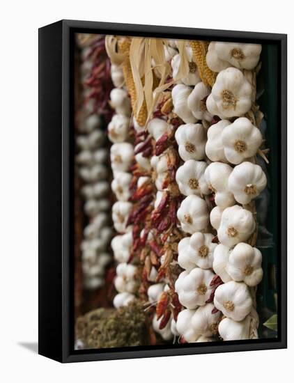 Garlic, Ischia Ponte, Ischia, Bay of Naples, Campania, Italy-Walter Bibikow-Framed Stretched Canvas