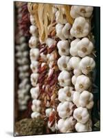 Garlic, Ischia Ponte, Ischia, Bay of Naples, Campania, Italy-Walter Bibikow-Mounted Premium Photographic Print