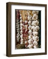 Garlic, Ischia Ponte, Ischia, Bay of Naples, Campania, Italy-Walter Bibikow-Framed Photographic Print