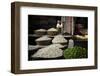 Garlic Market-Valda Bailey-Framed Photographic Print