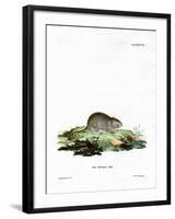 Garlic Mouse-null-Framed Giclee Print