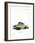 Garlic Mouse-null-Framed Giclee Print