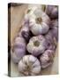 Garlic, Moustiers-Sainte-Marie, Provence, France-Sergio Pitamitz-Stretched Canvas