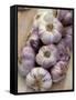 Garlic, Moustiers-Sainte-Marie, Provence, France-Sergio Pitamitz-Framed Stretched Canvas