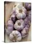 Garlic, Moustiers-Sainte-Marie, Provence, France-Sergio Pitamitz-Stretched Canvas