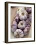 Garlic, Moustiers-Sainte-Marie, Provence, France-Sergio Pitamitz-Framed Photographic Print