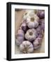 Garlic, Moustiers-Sainte-Marie, Provence, France-Sergio Pitamitz-Framed Photographic Print