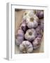 Garlic, Moustiers-Sainte-Marie, Provence, France-Sergio Pitamitz-Framed Photographic Print