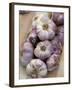 Garlic, Moustiers-Sainte-Marie, Provence, France-Sergio Pitamitz-Framed Photographic Print