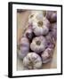 Garlic, Moustiers-Sainte-Marie, Provence, France-Sergio Pitamitz-Framed Photographic Print