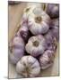 Garlic, Moustiers-Sainte-Marie, Provence, France-Sergio Pitamitz-Mounted Photographic Print