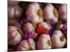 Garlic on Sale at a Market in Soft Focus Tours, Indre-Et-Loire, Centre, France, Europe-Julian Elliott-Mounted Photographic Print