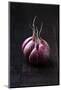 Garlic on Vintage Wooden Table-Mateusz Gzik-Mounted Photographic Print