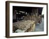 Garlic Strings at the French Quarter Market-Carol Highsmith-Framed Photo