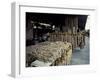 Garlic Strings at the French Quarter Market-Carol Highsmith-Framed Photo