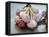 Garlic-Mauricio Abreu-Framed Stretched Canvas