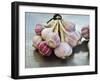 Garlic-Mauricio Abreu-Framed Photographic Print