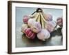 Garlic-Mauricio Abreu-Framed Photographic Print