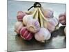 Garlic-Mauricio Abreu-Mounted Photographic Print