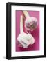 Garlic-Eising Studio - Food Photo and Video-Framed Photographic Print