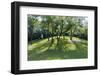 Garlough Park Hills and Trees-jrferrermn-Framed Photographic Print