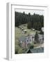 Garnet Ghost Town, Montana, USA-null-Framed Photographic Print