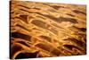 Garnet Sand Dunes II-Howard Ruby-Stretched Canvas