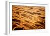 Garnet Sand Dunes II-Howard Ruby-Framed Photographic Print