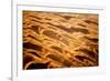 Garnet Sand Dunes II-Howard Ruby-Framed Photographic Print